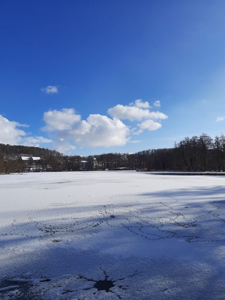 Meditationskurs-Online